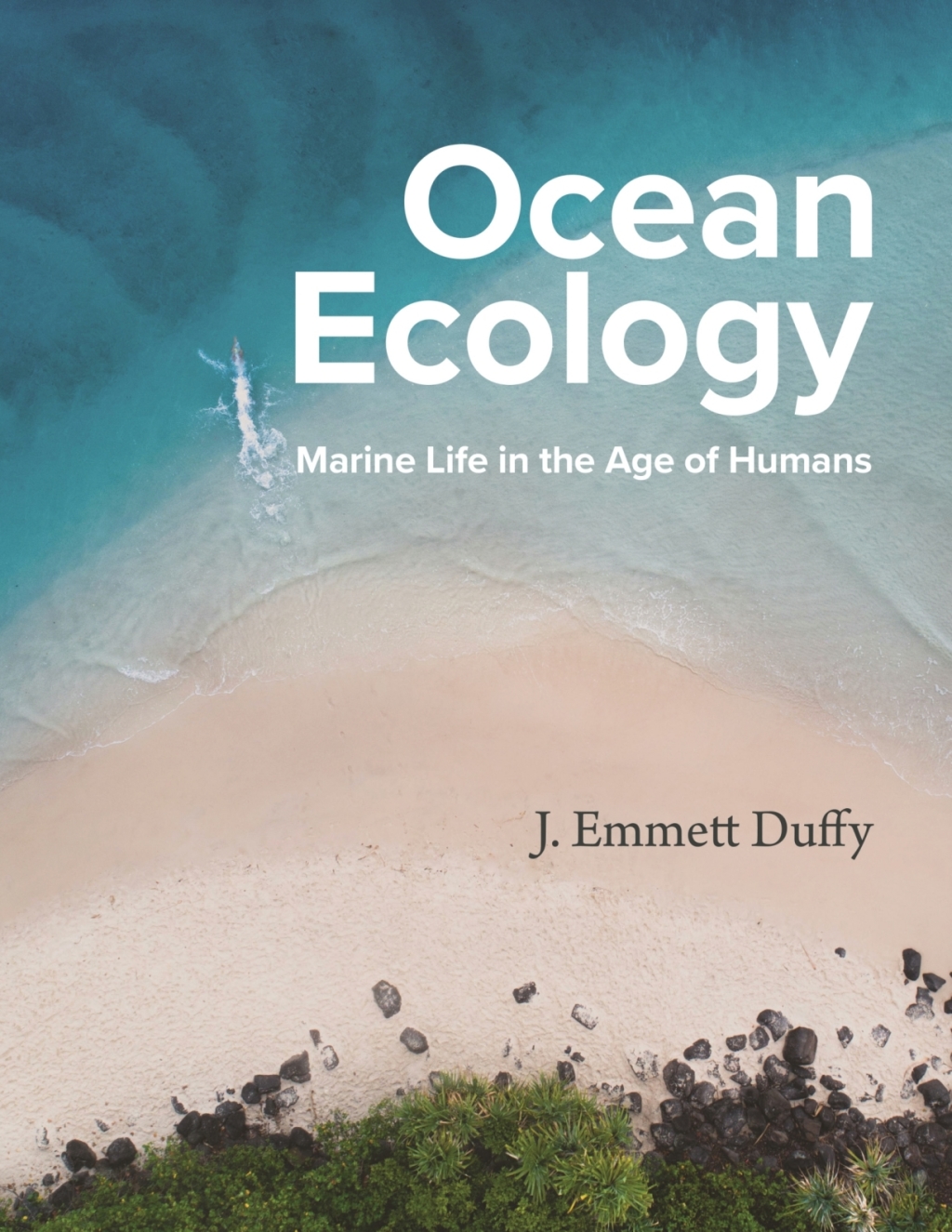 Ocean Ecology Marine Life in the Age of Humans 