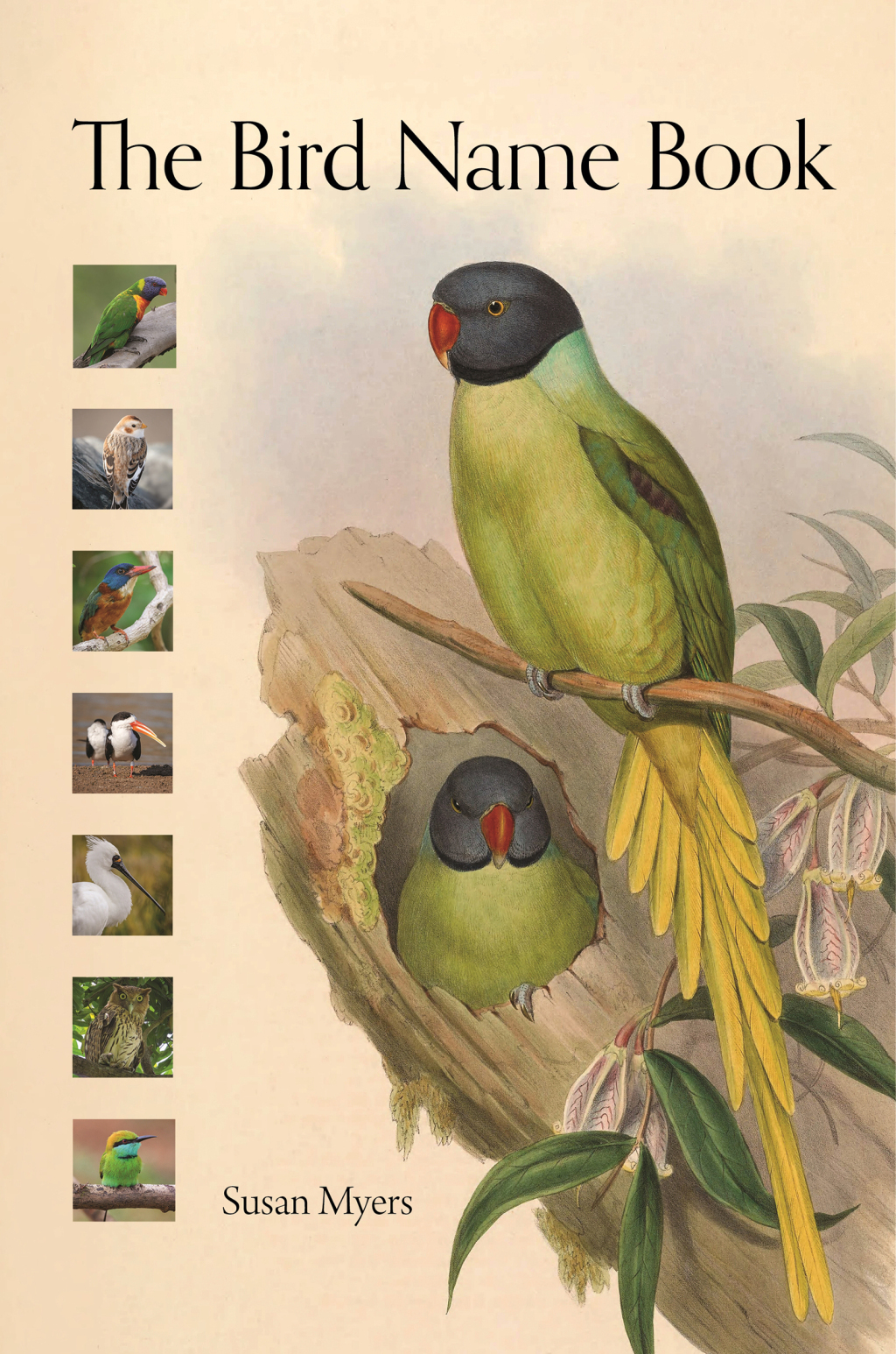 The Bird Name Book A History of English Bird Names 