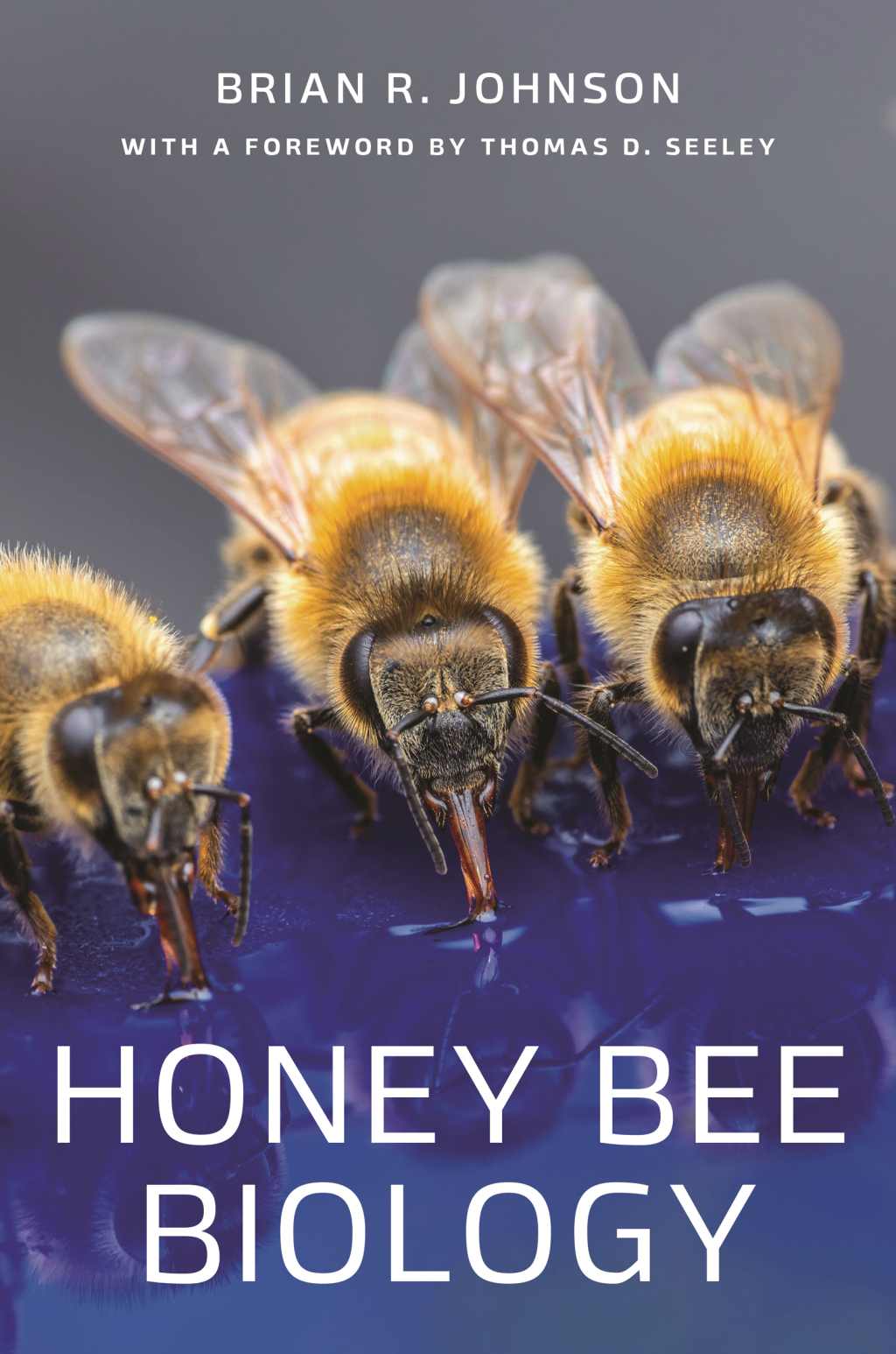 Honey Bee Biology 