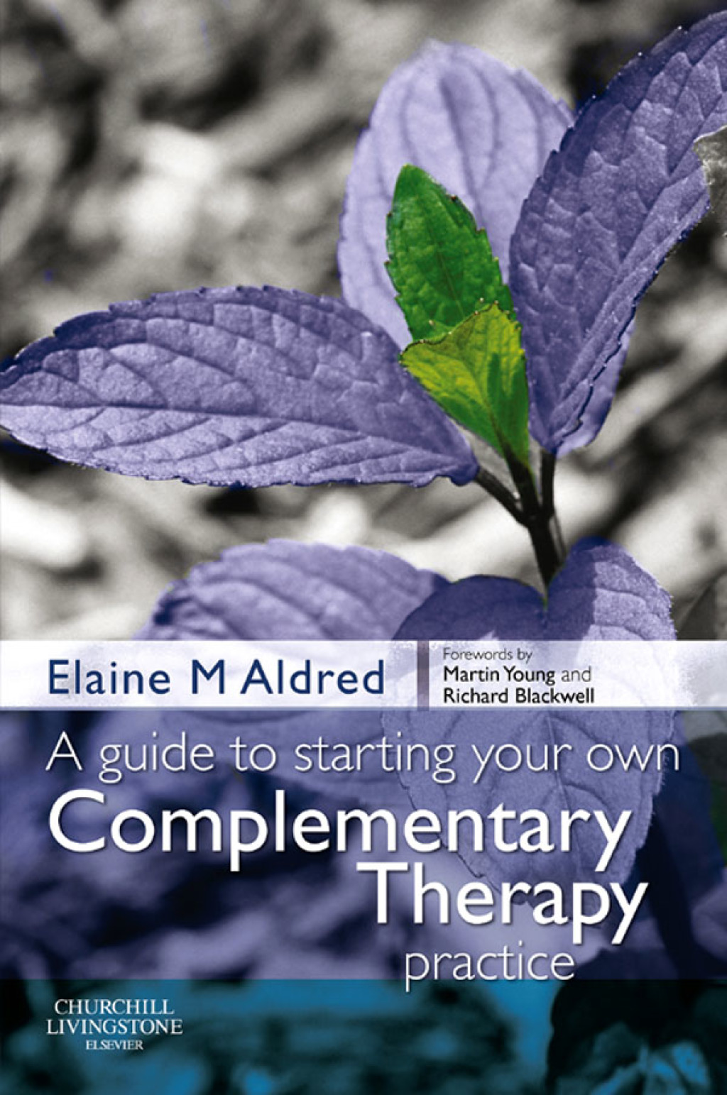 A Guide to Starting your own Complementary Therapy Practice 