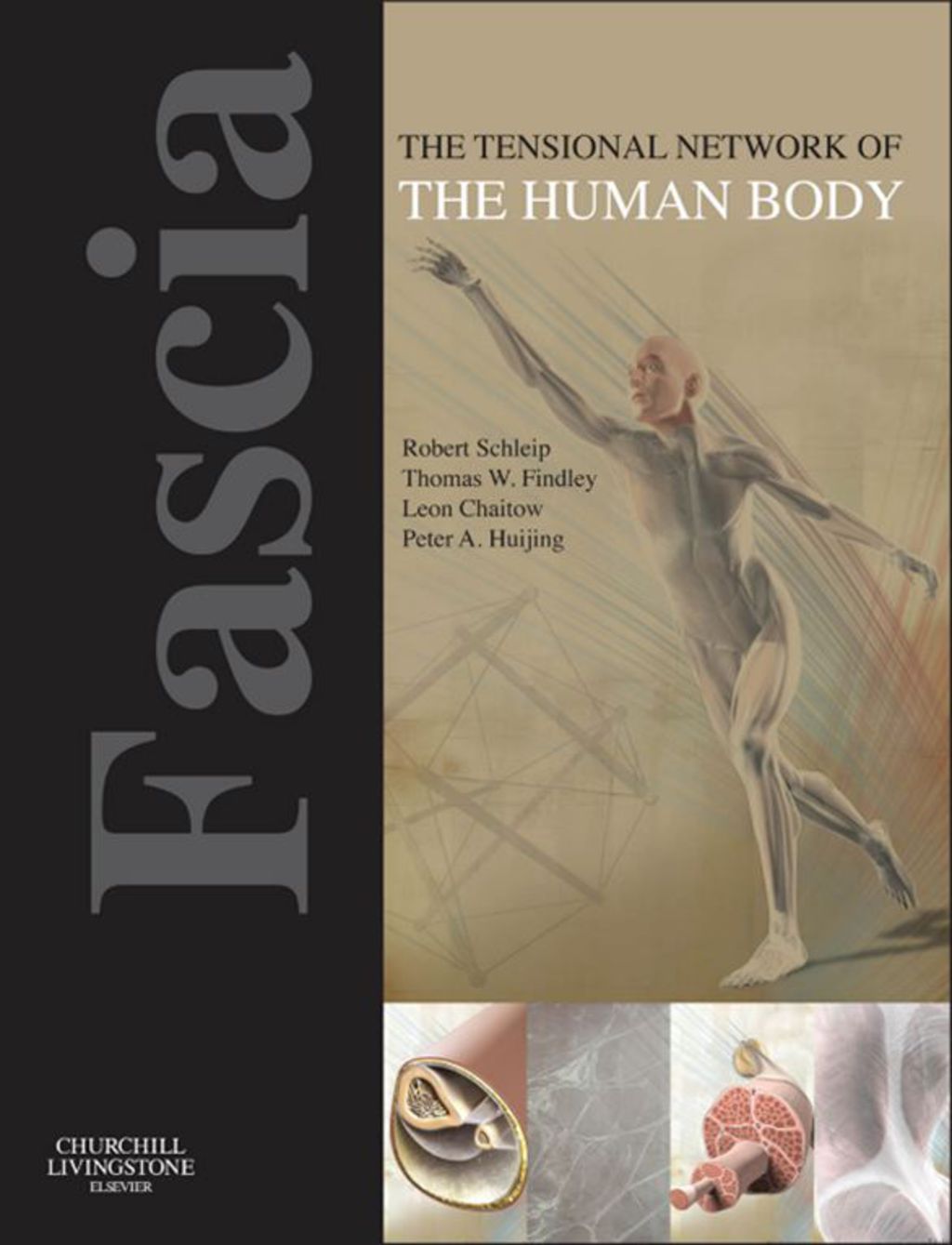 Fascia: The Tensional Network of the Human Body The science and clinical applications in manual and movement therapy 1st Edition