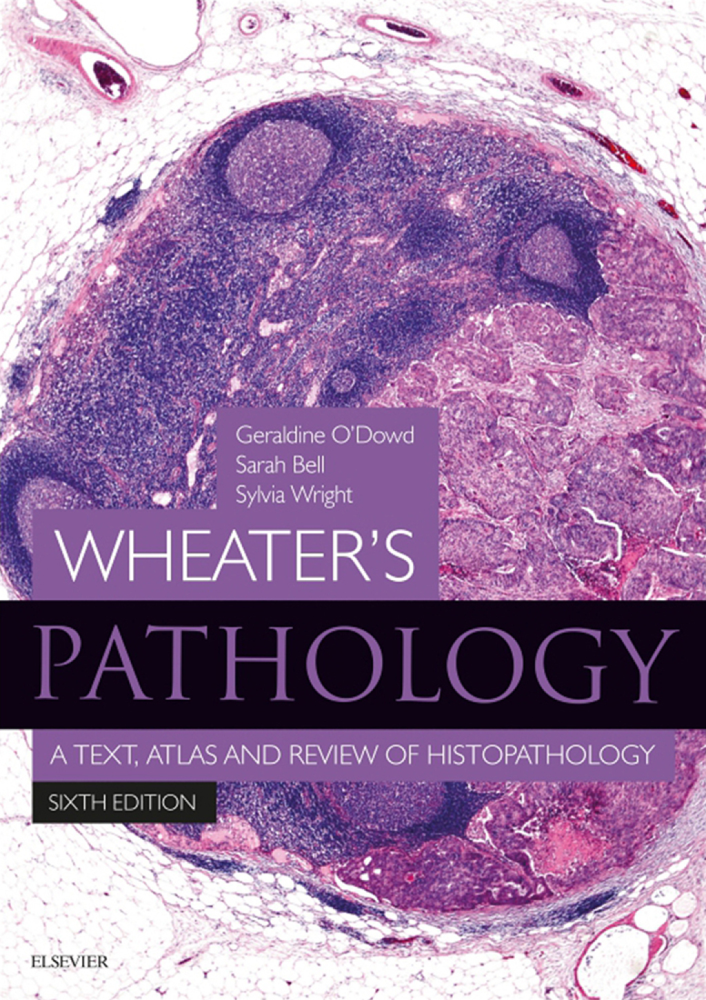 Wheater's Pathology - Inkling Enhanced E-Book A Text, Atlas and Review of Histopathology 6th Edition