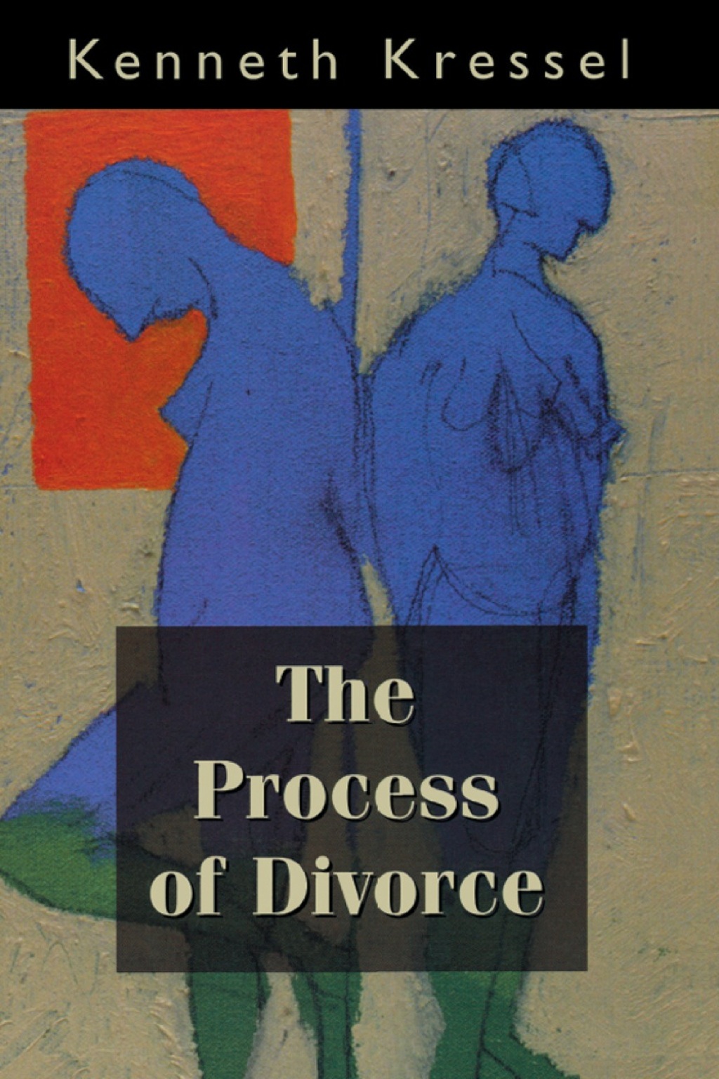 The Process of Divorce