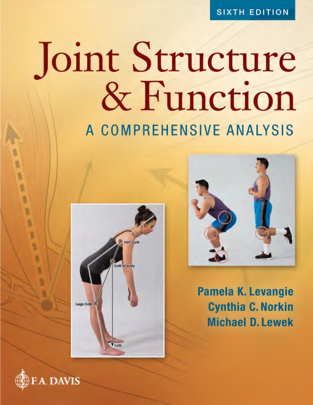 Joint Structure and Function A Comprehensive Analysis 6th Edition