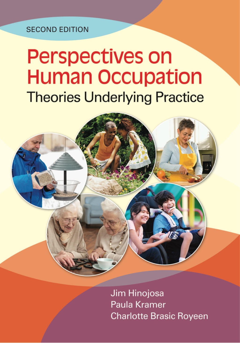 Perspectives on Human Occupation Theories Underlying Practice 2nd Edition