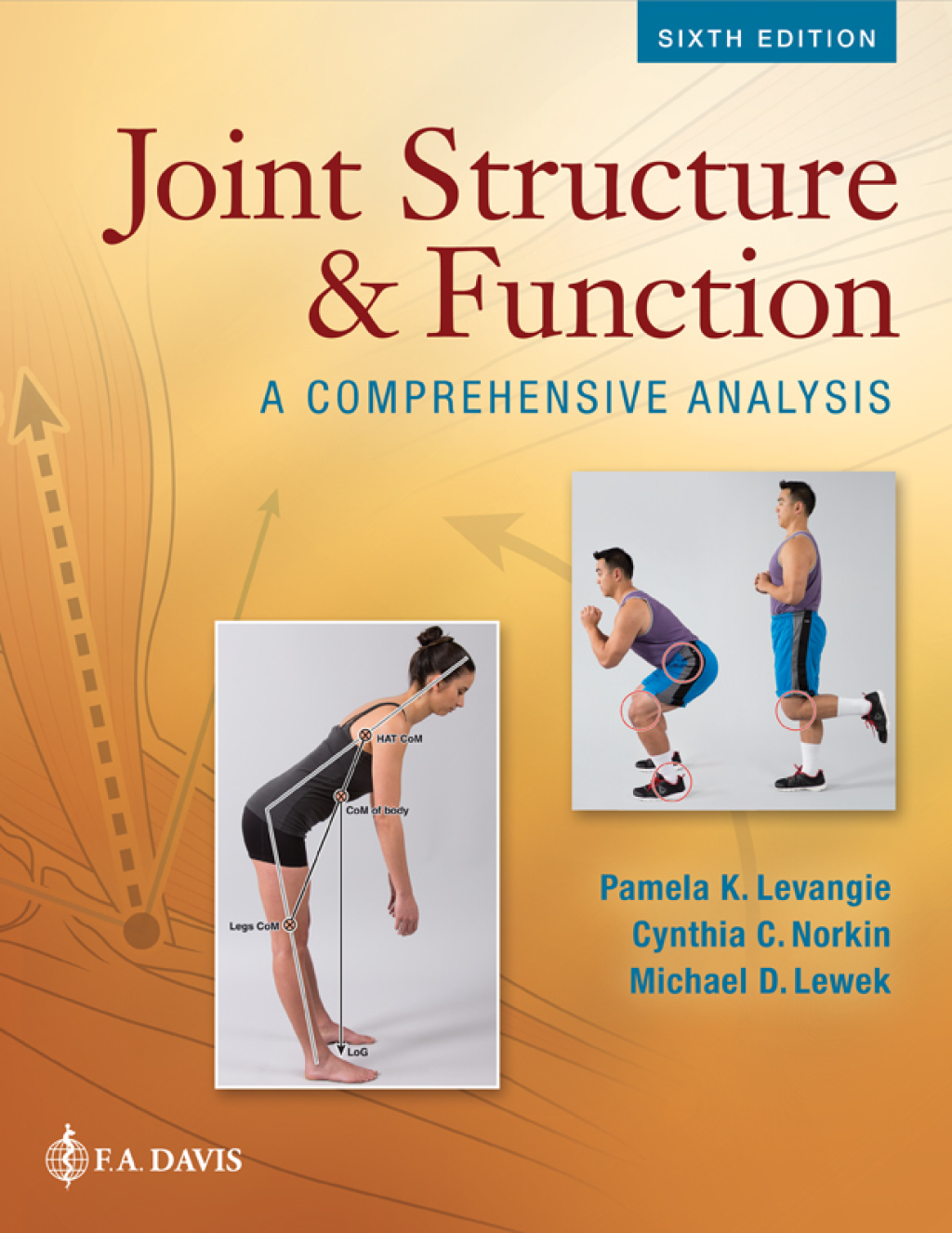 Joint Structure and Function A Comprehensive Analysis 6th Edition