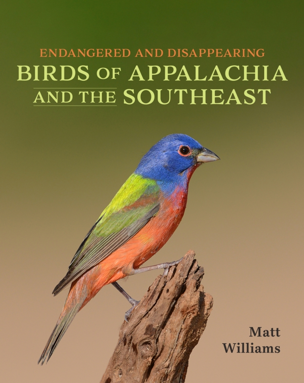 Endangered and Disappearing Birds of Appalachia and the Southeast 