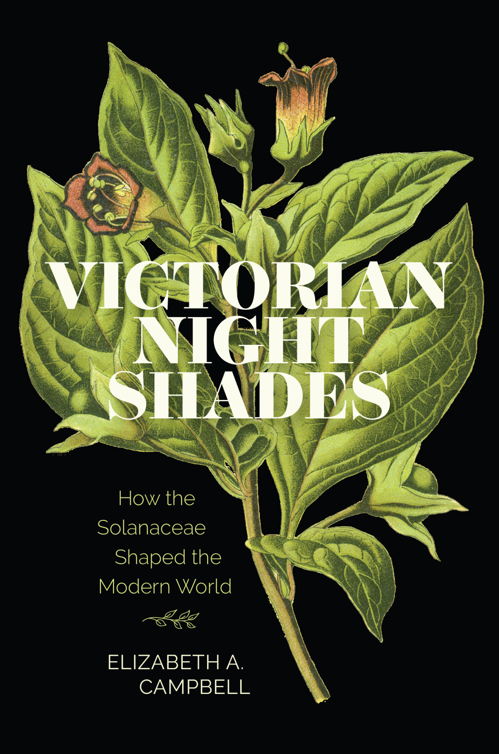 Victorian Nightshades How the Solanaceae Shaped the Modern World 