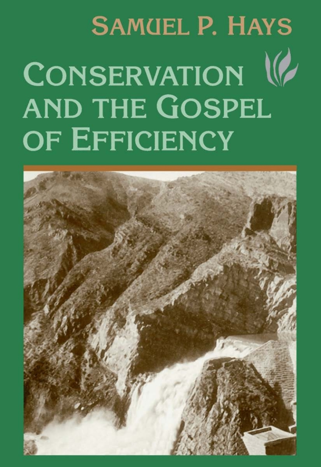 Conservation And The Gospel Of Efficiency The Progressive Conservation Movement, 1890–1920 