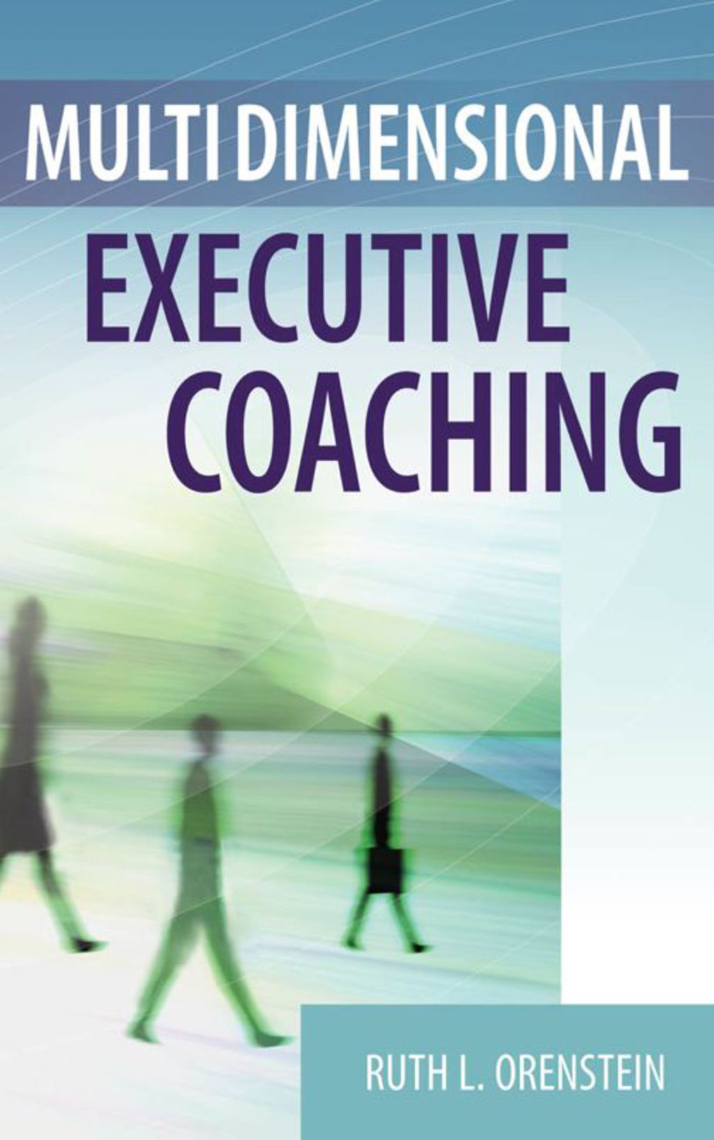 Multidimensional Executive Coaching 1st Edition