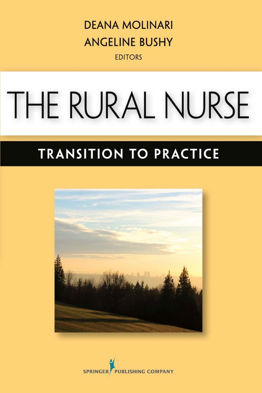 The Rural Nurse Transition to Practice 1st Edition