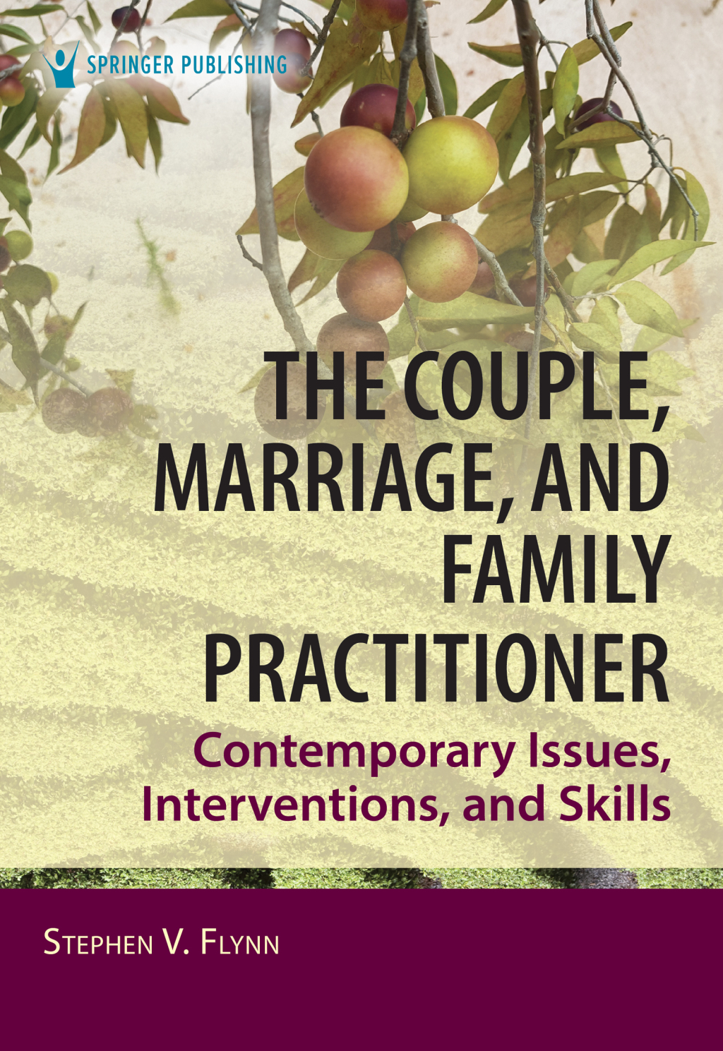 The Couple, Marriage, and Family Practitioner Contemporary Issues, Interventions, and Skills 1st Edition
