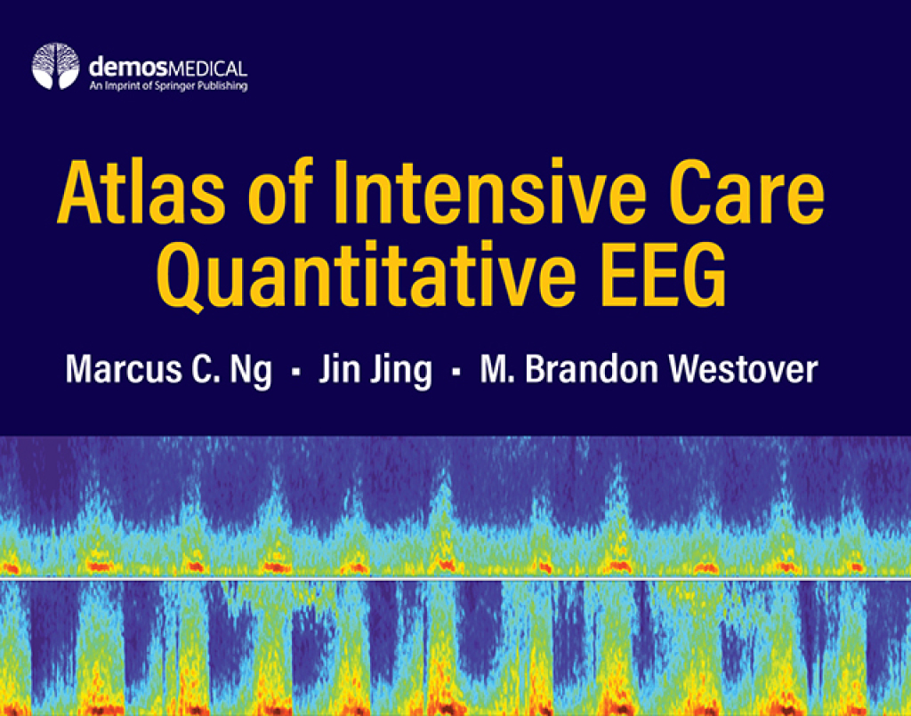 Atlas of Intensive Care Quantitative EEG 1st Edition