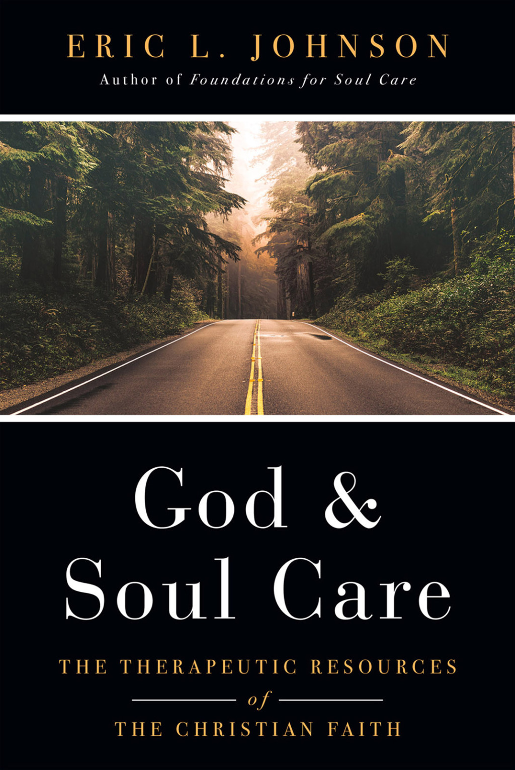 God and Soul Care The Therapeutic Resources of the Christian Faith 