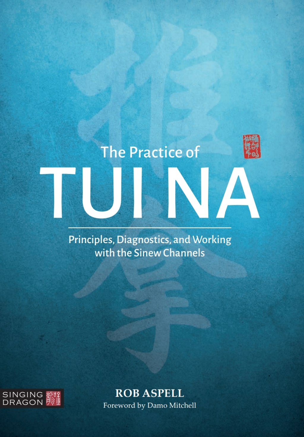 The Practice of Tui Na Principles, Diagnostics and Working with the Sinew Channels 