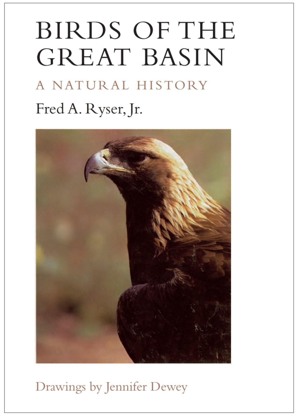 Birds of the Great Basin A Natural History 