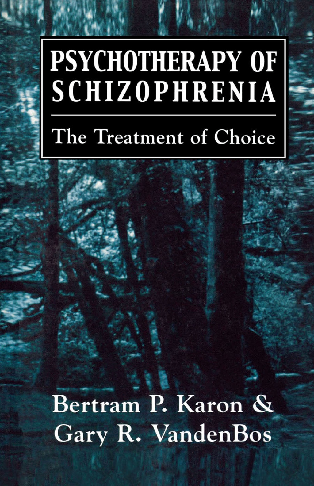 Psychotherapy of Schizophrenia 