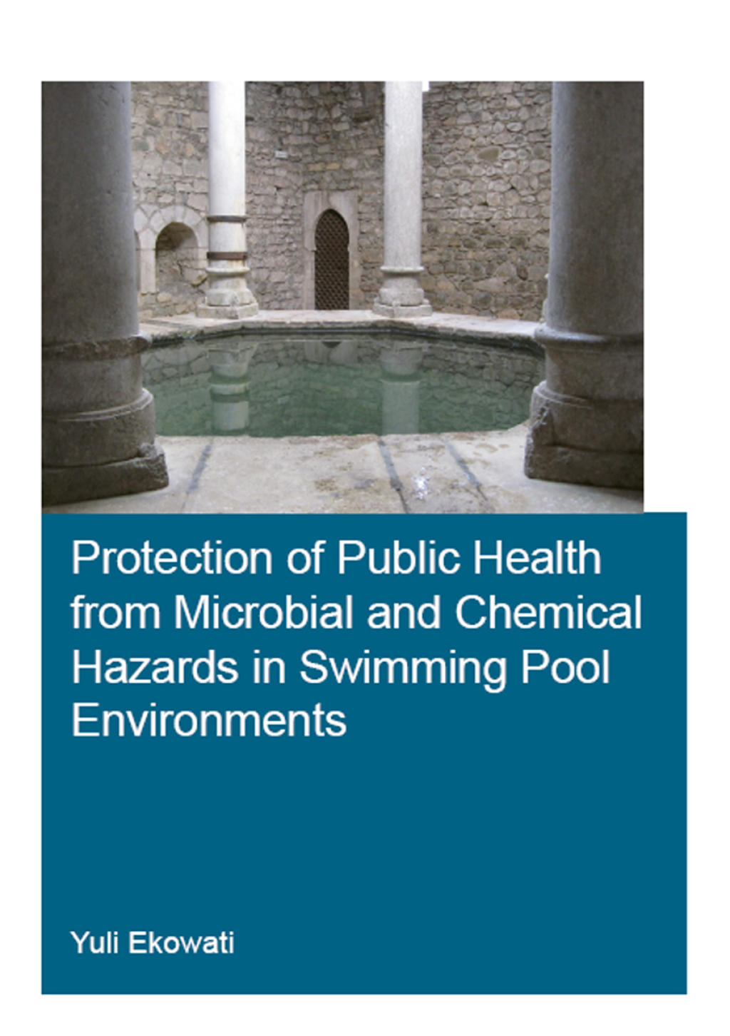 Protection of Public Health from Microbial and Chemical Hazards in Swimming Pool Environments 1st Edition