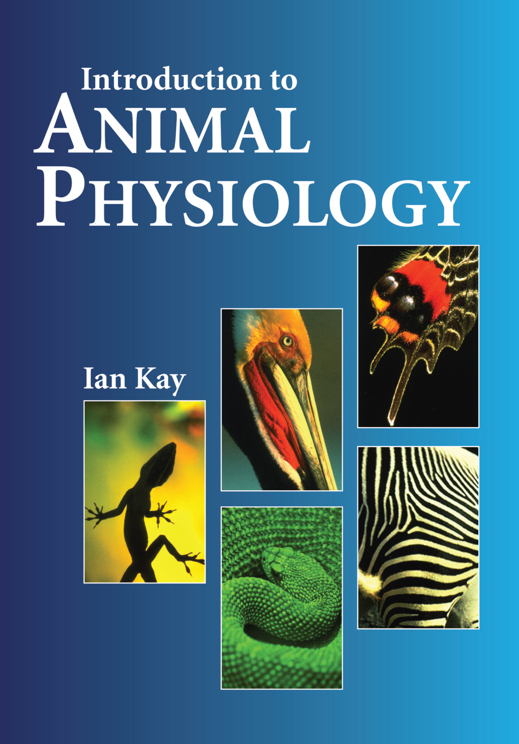 Introduction to Animal Physiology 1st Edition