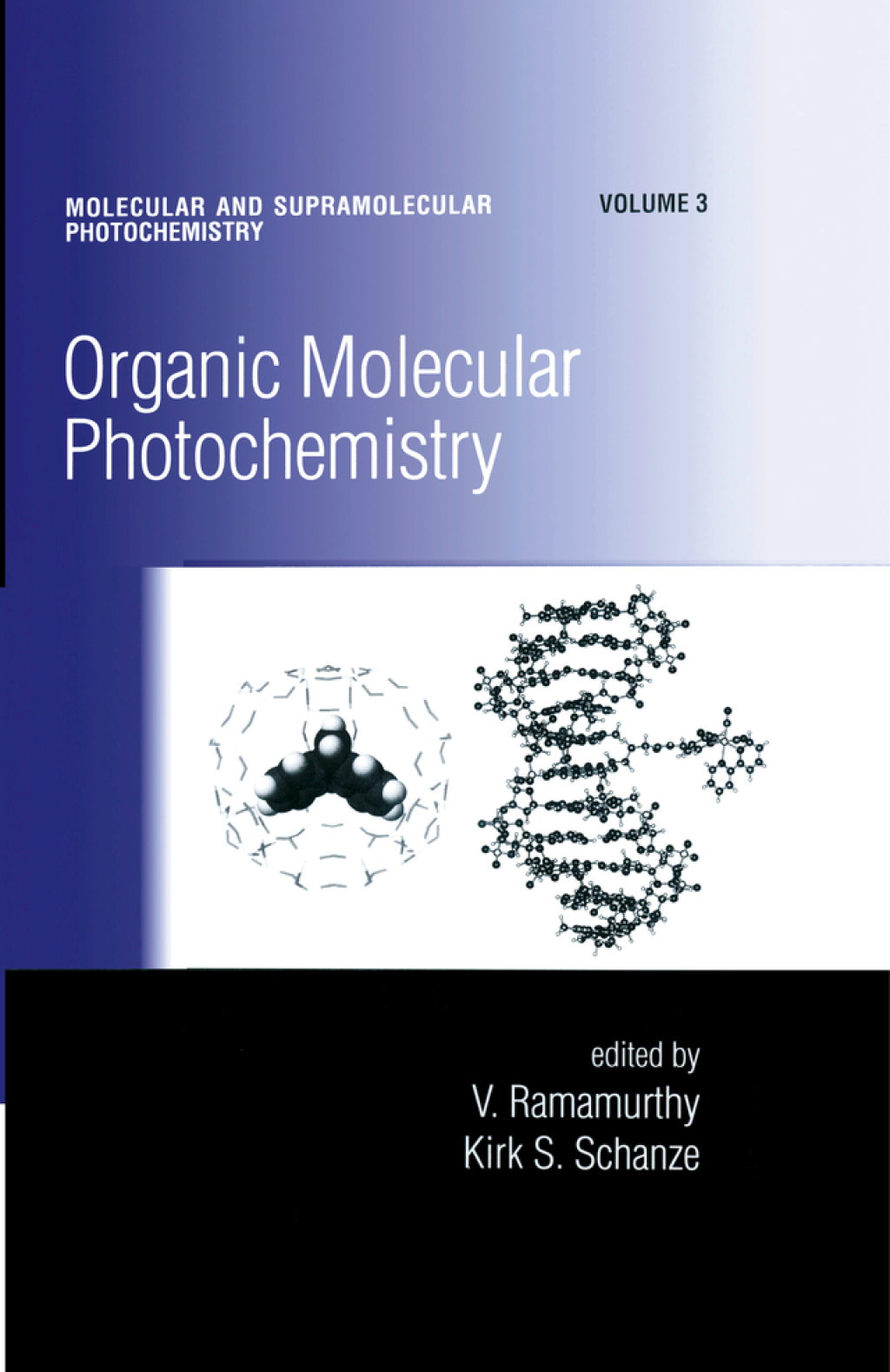 Organic Molecular Photochemistry 1st Edition