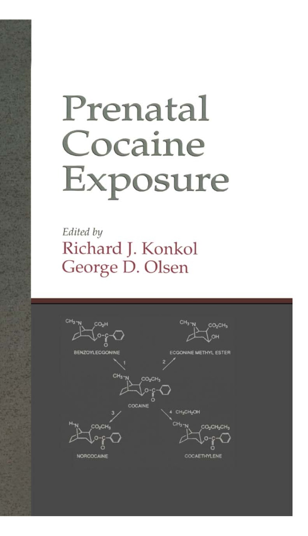 Prenatal Cocaine Exposure 1st Edition