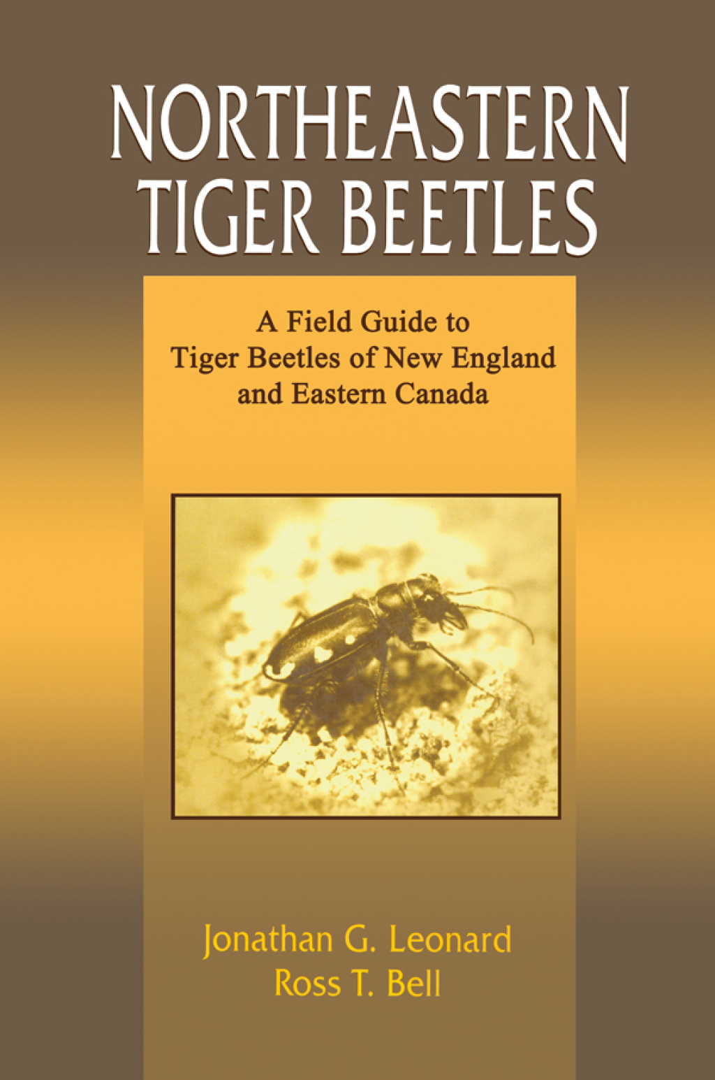 Northeastern Tiger Beetles A Field Guide to Tiger Beetles of New England and Eastern Canada 1st Edition