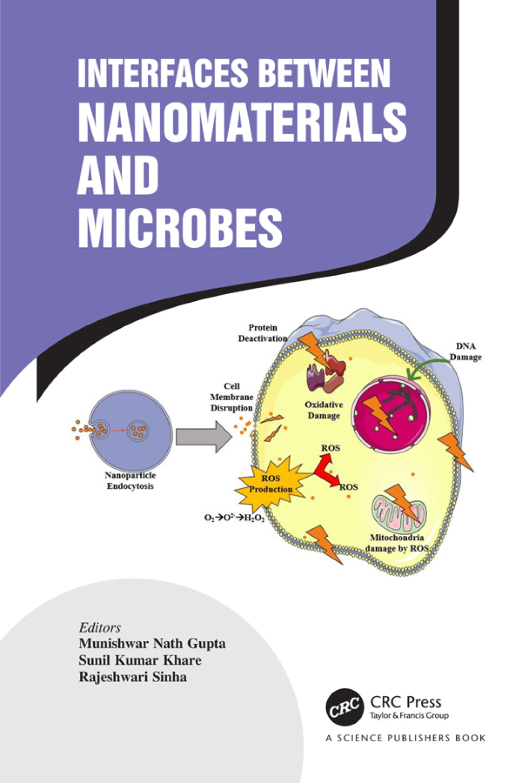 Interfaces Between Nanomaterials and Microbes 1st Edition