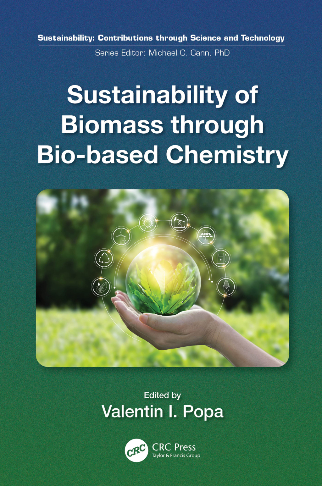 Sustainability of Biomass through Bio-based Chemistry 1st Edition