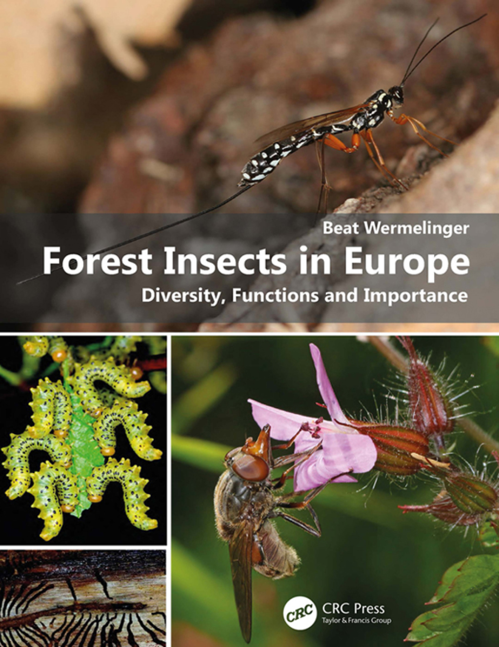 Forest Insects in Europe Diversity, Functions and Importance 1st Edition