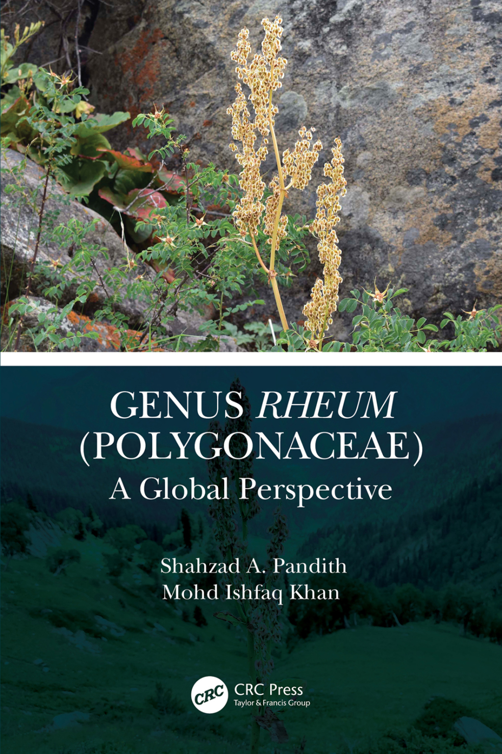 Genus Rheum (Polygonaceae) A Global Perspective 1st Edition