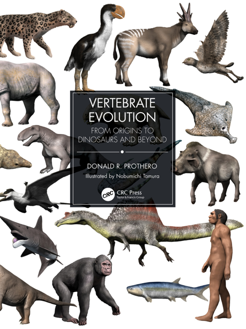 Vertebrate Evolution From Origins to Dinosaurs and Beyond 1st Edition