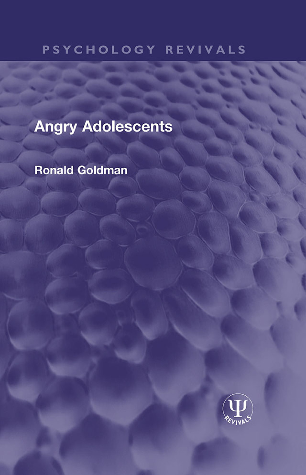Angry Adolescents 1st Edition
