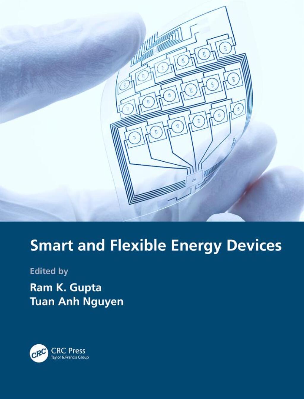 Smart and Flexible Energy Devices 1st Edition