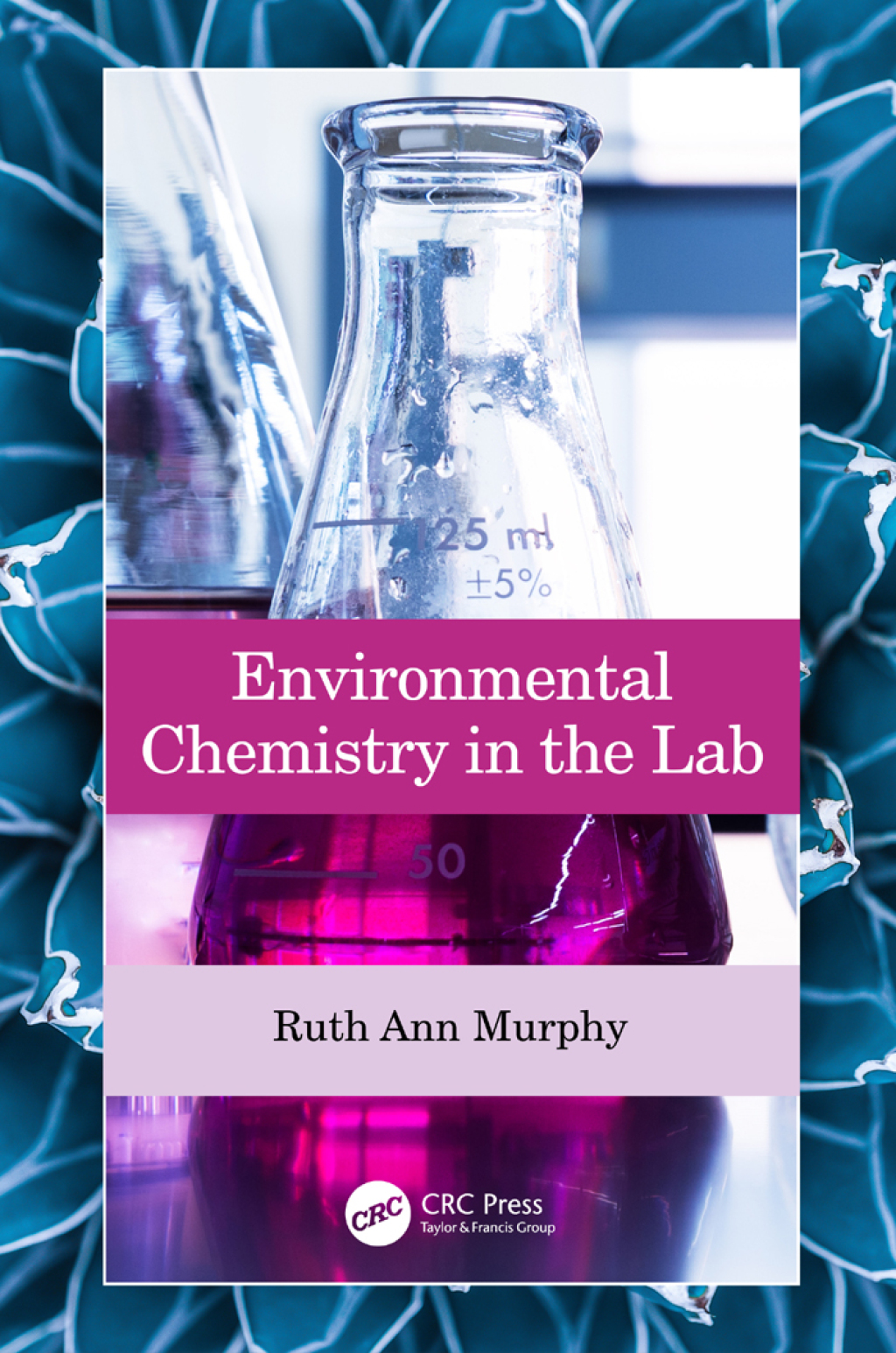 Environmental Chemistry in the Lab 1st Edition