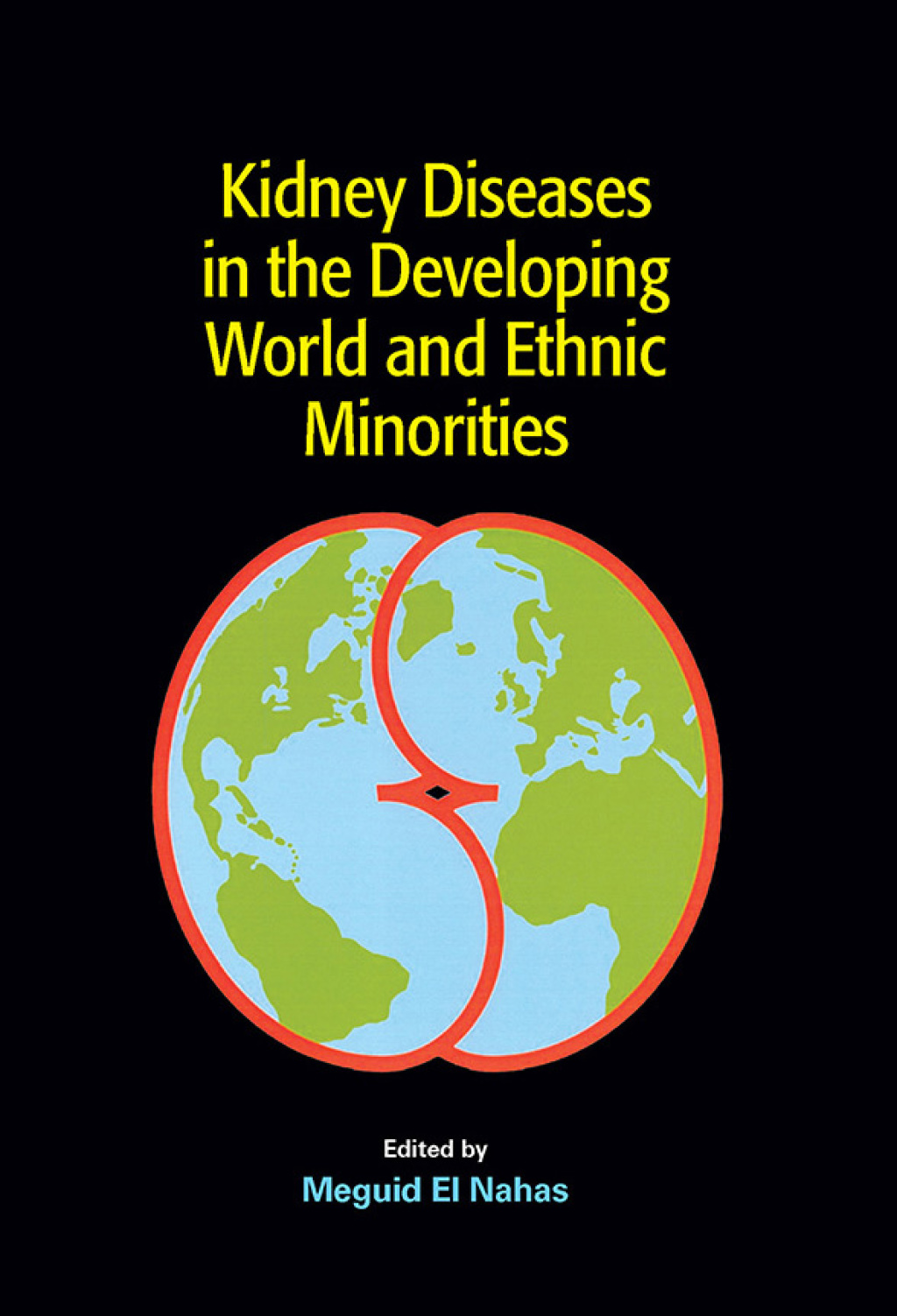 Kidney Diseases in the Developing World and Ethnic Minorities 1st Edition