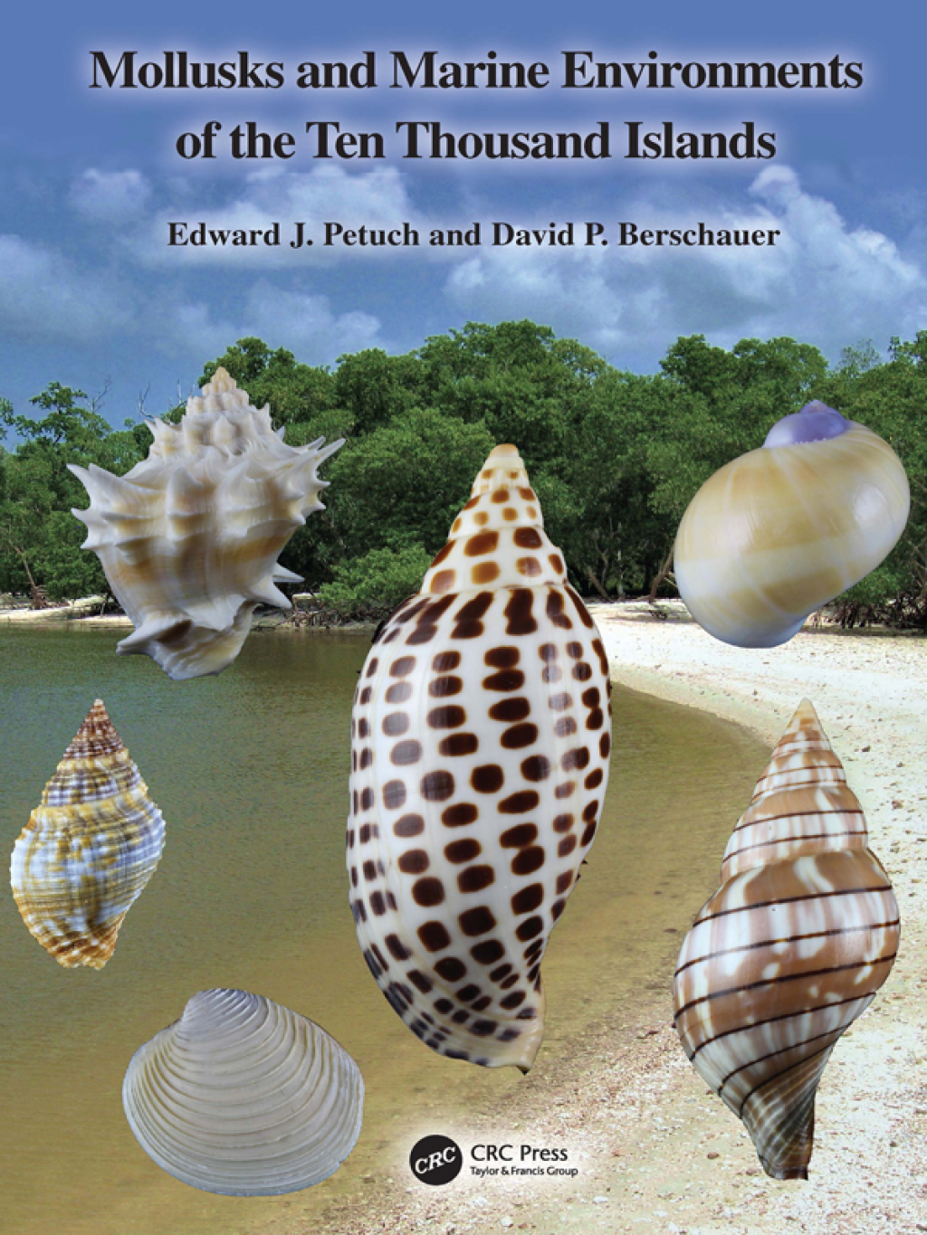 Mollusks and Marine Environments of the Ten Thousand Islands 1st Edition