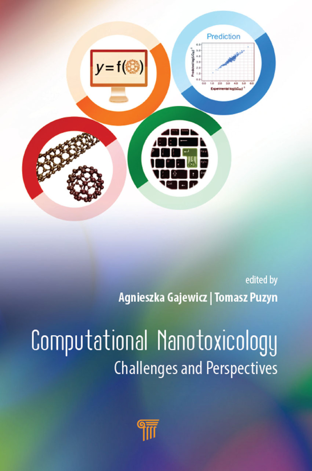 Computational Nanotoxicology Challenges and Perspectives 1st Edition