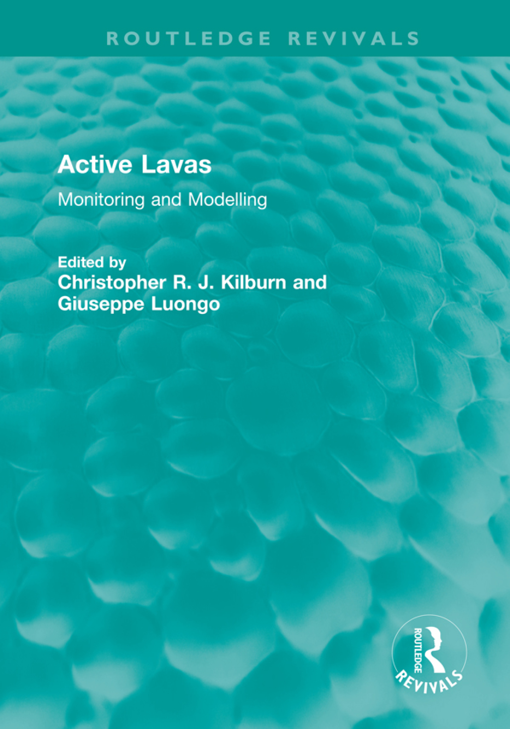 Active Lavas Monitoring and Modelling 1st Edition