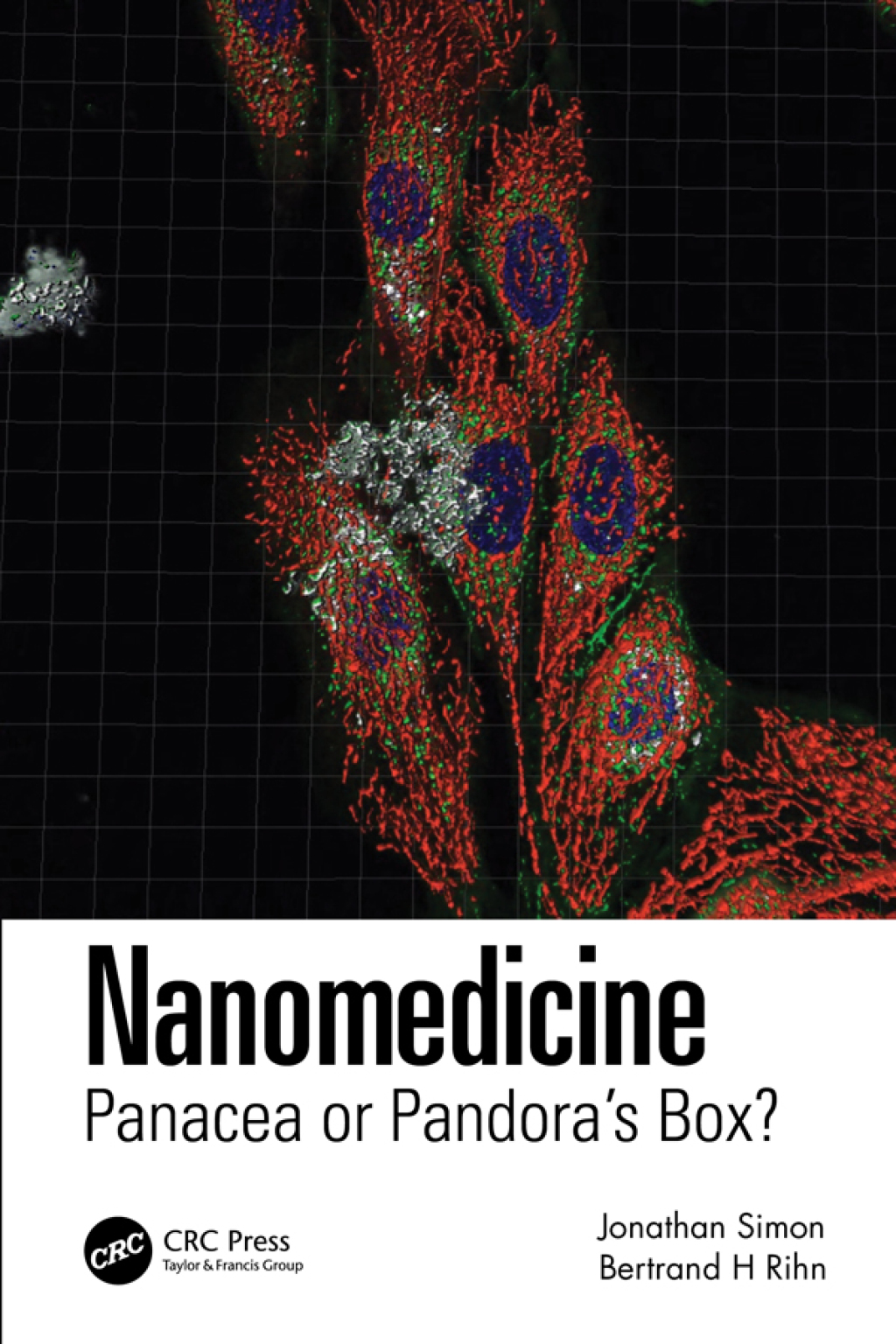 Nanomedicine Panacea or Pandora's Box? 1st Edition