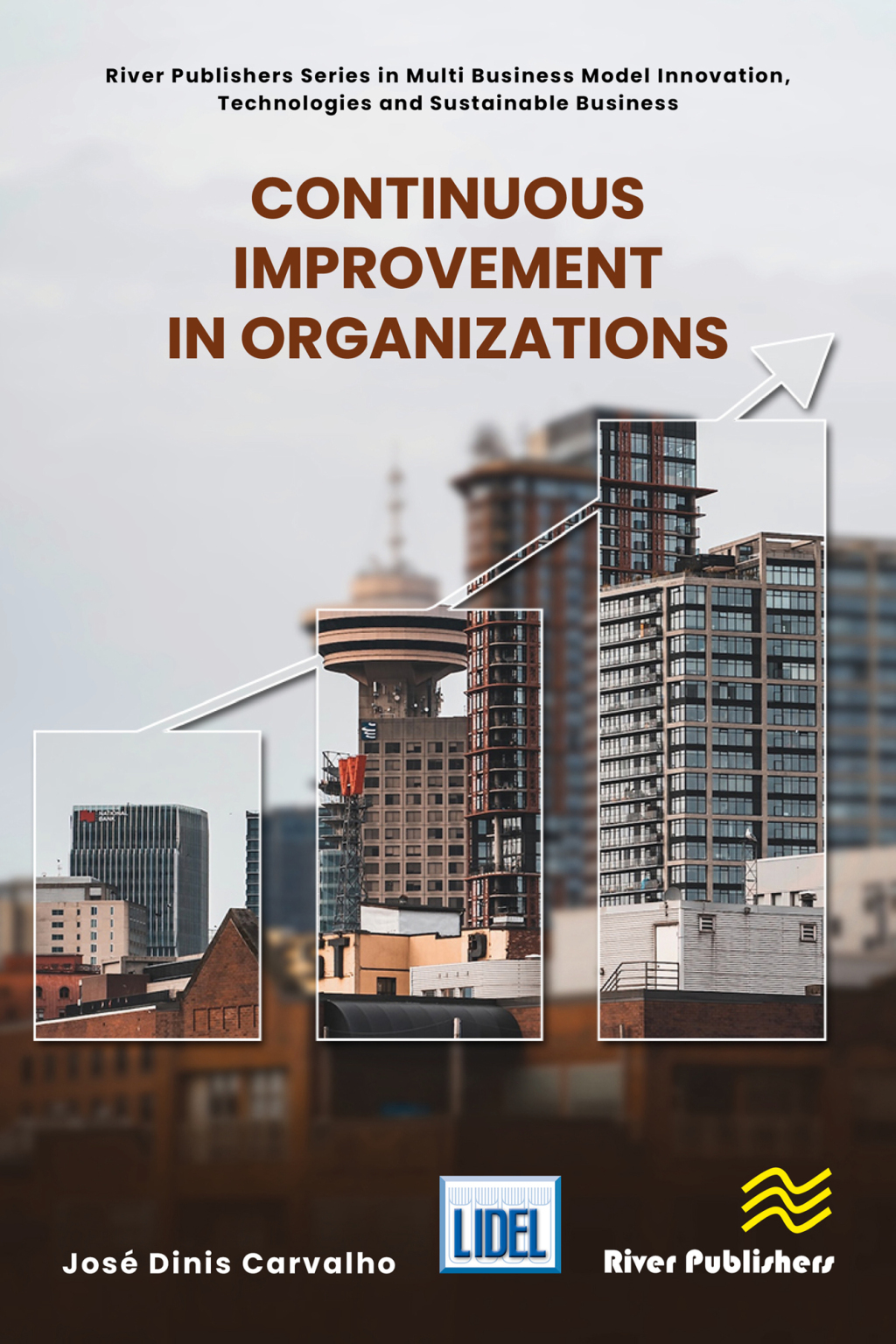 Continuous Improvement in Organizations 1st Edition