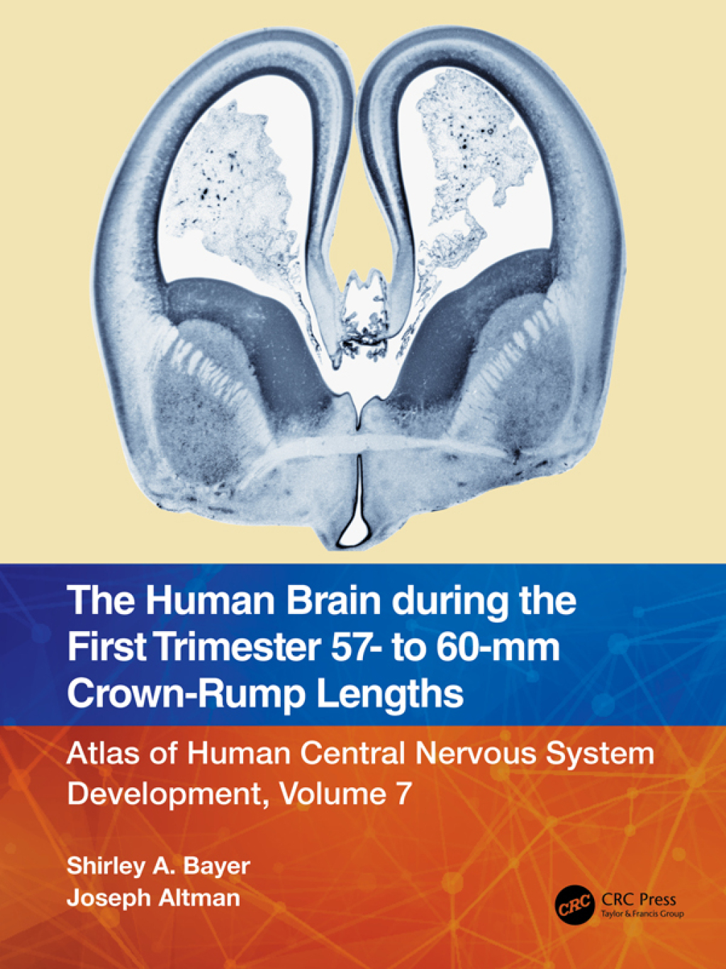 The Human Brain during the First Trimester 57- to 60-mm Crown-Rump Lengths Atlas of Human Central Nervous System Development, Volume 7 1st Edition