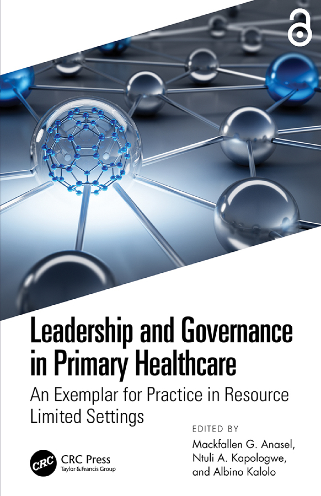 Leadership and Governance in Primary Healthcare An Exemplar for Practice in Resource Limited Settings 1st Edition