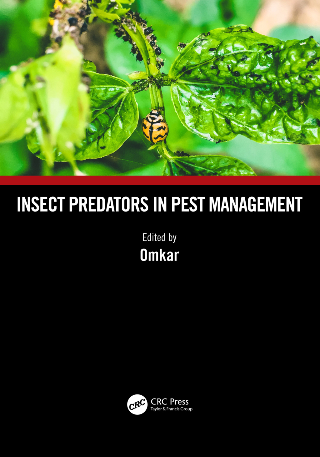 Insect Predators in Pest Management 1st Edition