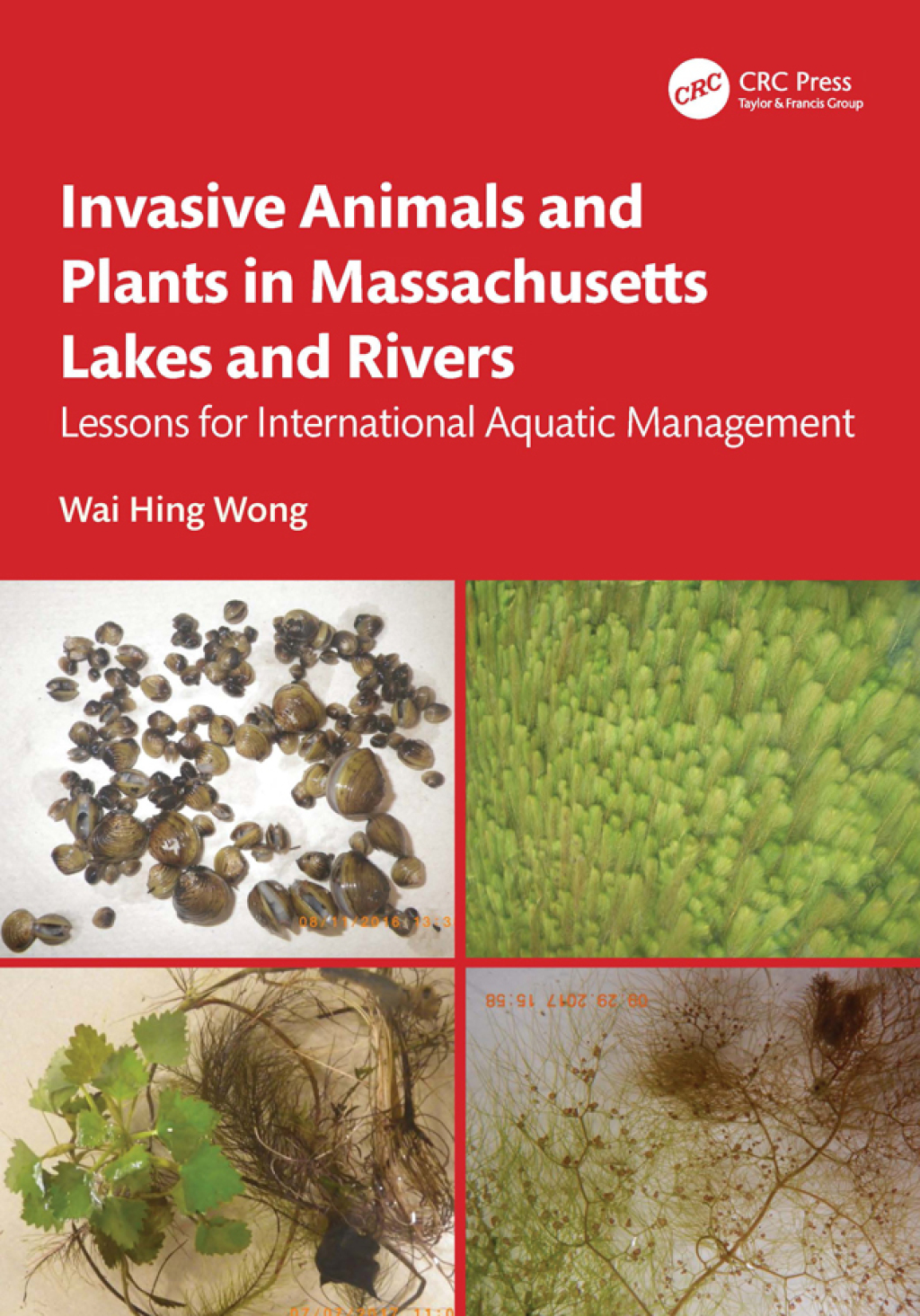 Invasive Animals and Plants in Massachusetts Lakes and Rivers Lessons for International Aquatic Management 1st Edition