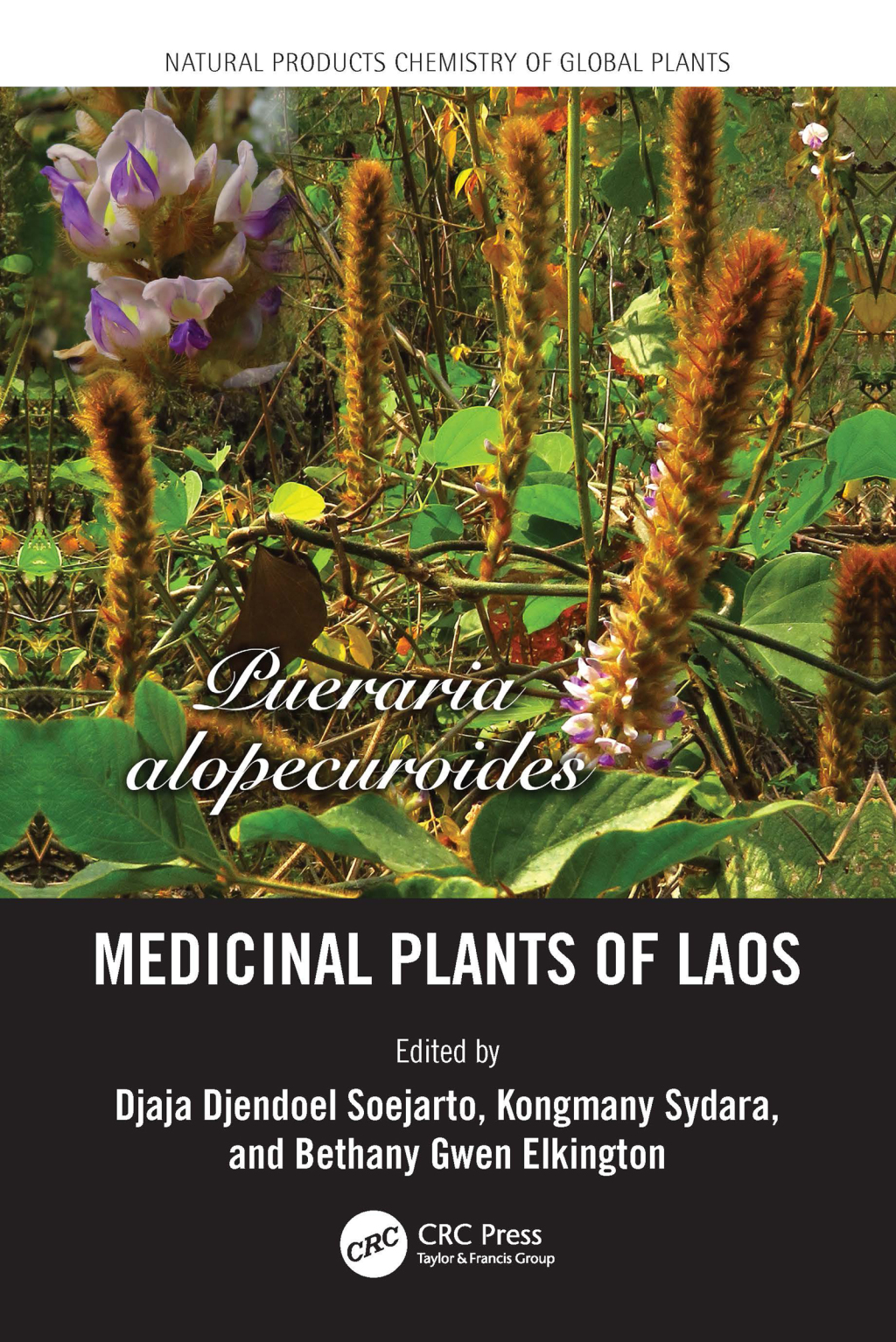 Medicinal Plants of Laos 1st Edition