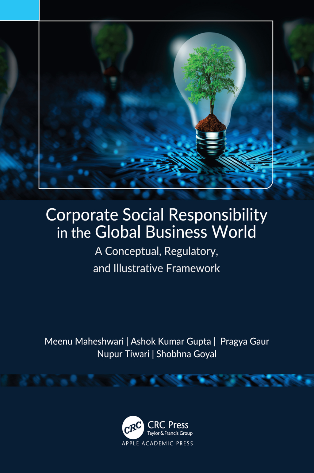 Corporate Social Responsibility in the Global Business World A Conceptual, Regulatory, and Illustrative Framework 1st Edition