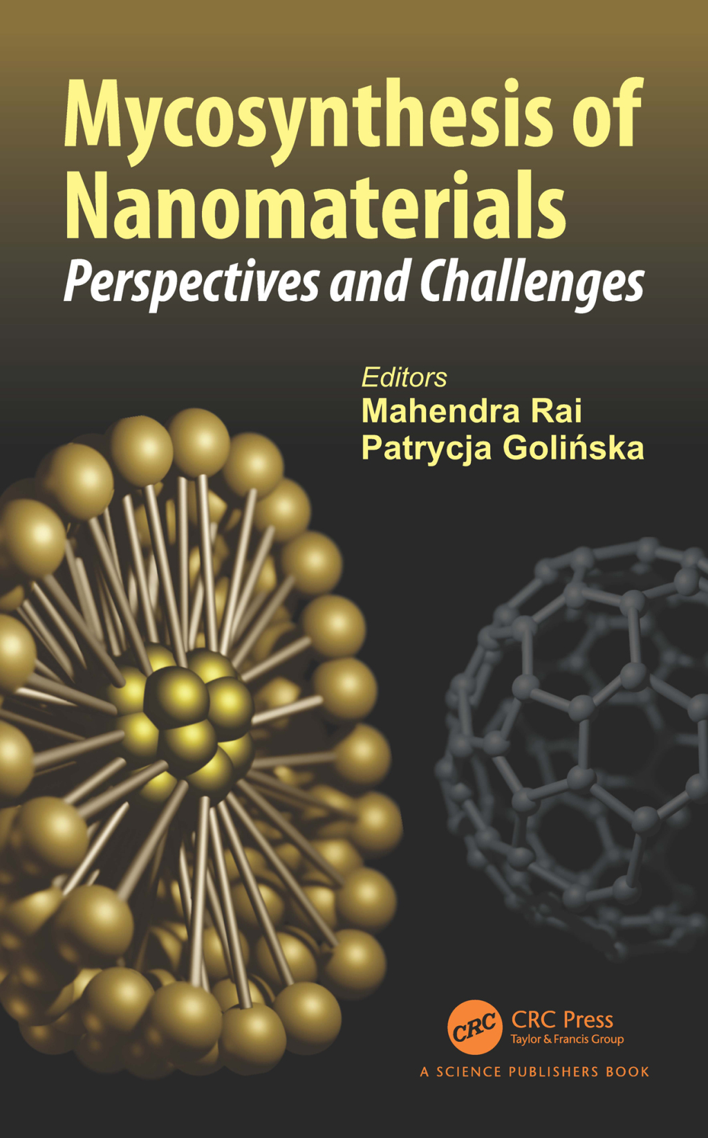 Mycosynthesis of Nanomaterials Perspectives and Challenges 1st Edition
