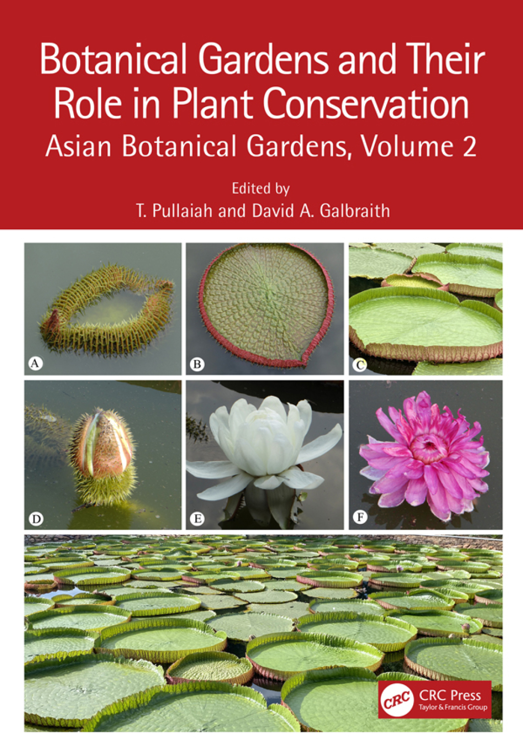 Botanical Gardens and Their Role in Plant Conservation Asian Botanical Gardens, Volume 2 1st Edition