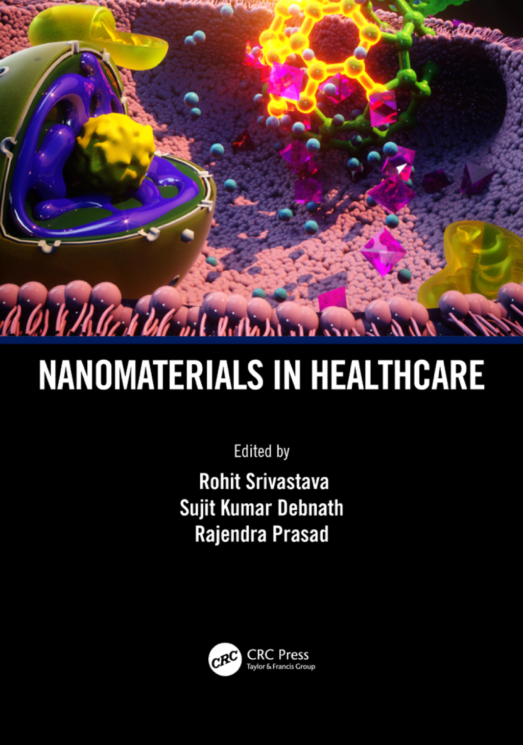 Nanomaterials in Healthcare 1st Edition