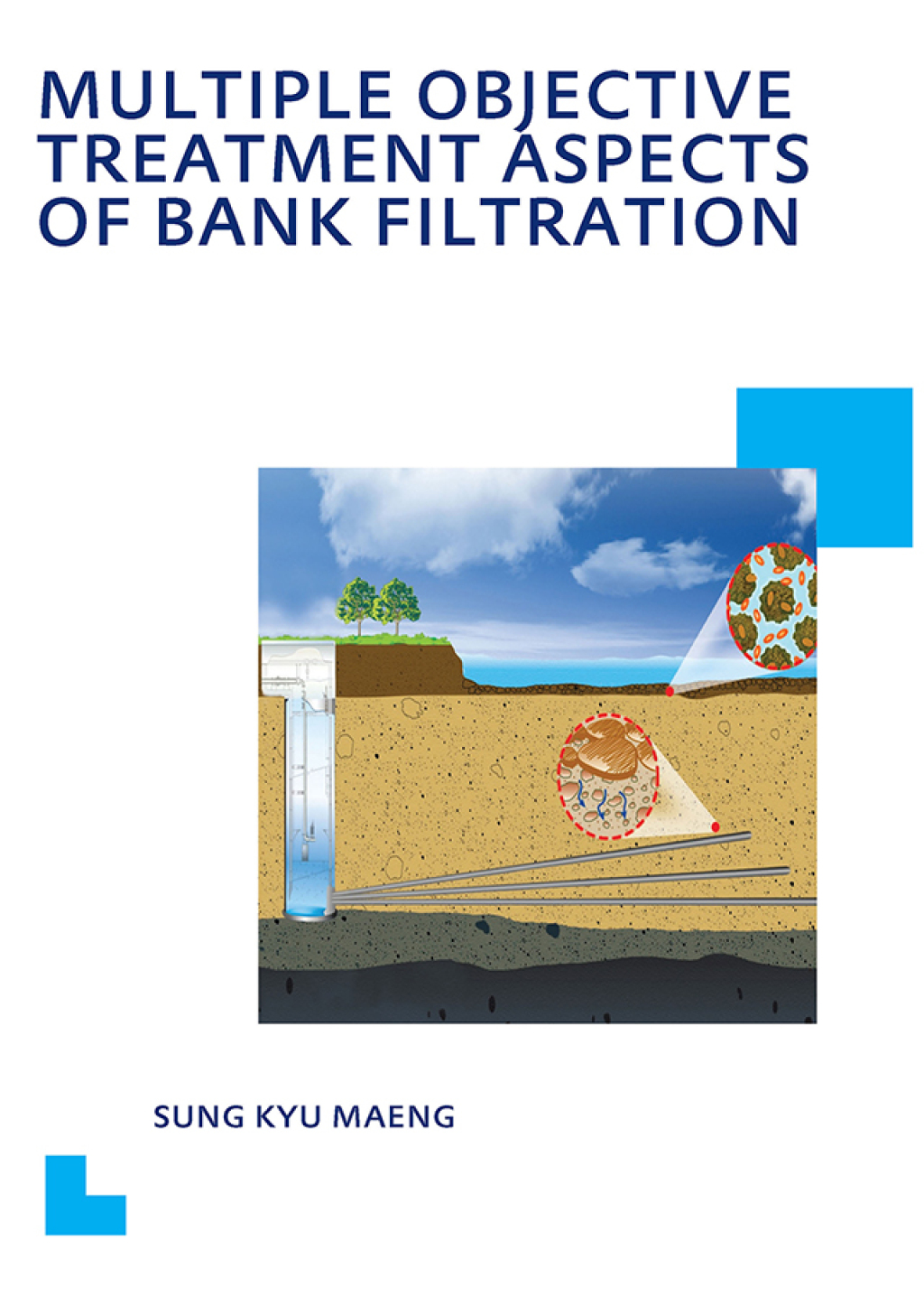 Multiple Objective Treatment Aspects of Bank Filtration 1st Edition